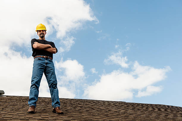 Best Roof Gutter Cleaning  in Britt, IA